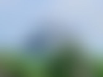 Disney Cruise Line Discounts for 2026: 20% Off + $250 Credit or Up to 35% Off Select Sailings