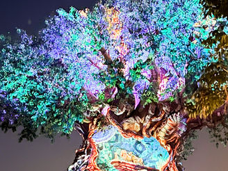 Extended Evening Hours are coming to Animal Kingdom