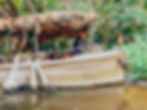 Walt Disney Jungle Cruise