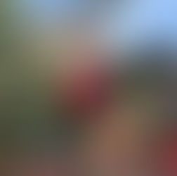 EPCOT International Festival of the Holidays 2025 Guide: Dates, Food Booths, Candlelight Processional & Tips