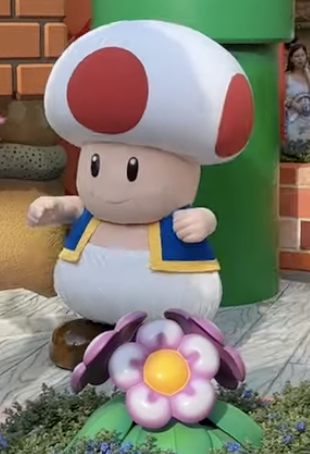 Toad Meet & Greet Epic Universe