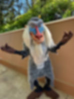 Rafiki Meet & Greet at Animal Kingdom