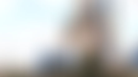 Ongoing Cinderella Castle repaint.