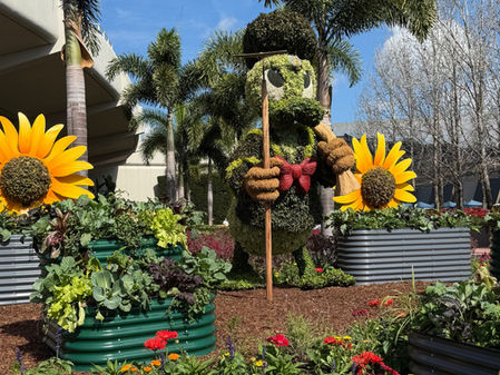 Donald Duck topiary flanked by two large yellow daisies.