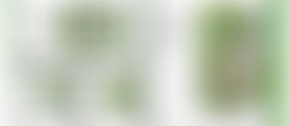 Beat the Rain and Heat WDW Map Preview