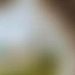 Start Here: Free Disney World Planning Cheat Sheets to Download