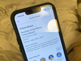 Virtual Queue FAQ