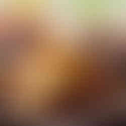 Potato Pierogi with kielbasa, onions, and sour cream