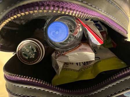 Snacks for a Walt Disney World Park Day