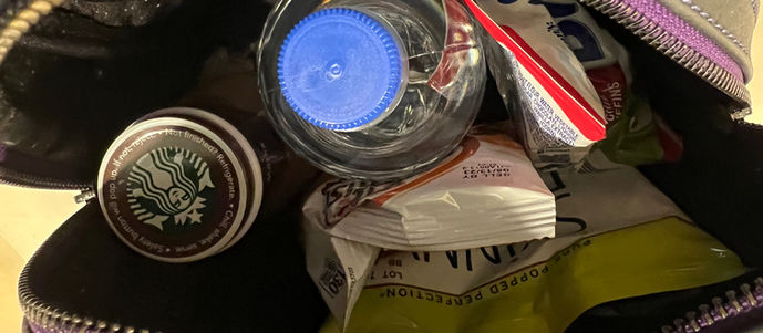 Snacks for a Walt Disney World Park Day