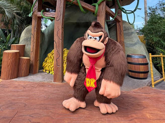Donkey Kong Meet & Greet at Epic Universe