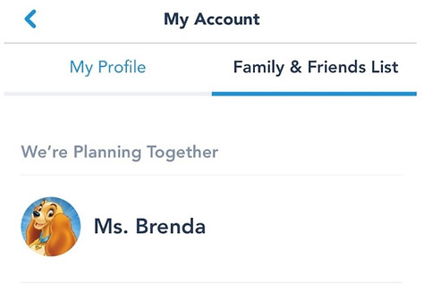 Disney Planning Party