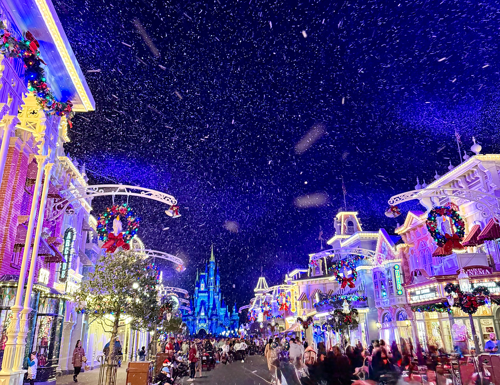 Mickey's Very Merry Christmas Party