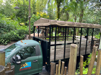 Wild Animal Safari Trek Vehicle