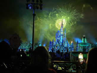 Happily Ever After Fireworks from the Plaza Garden