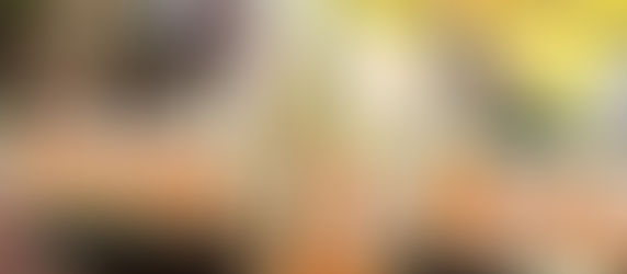 Bakso the Baby Tiger turn's 1 at Animal Kingdom