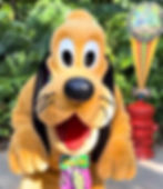 Pluto Meet & Greet - Disney Animal Kingdom