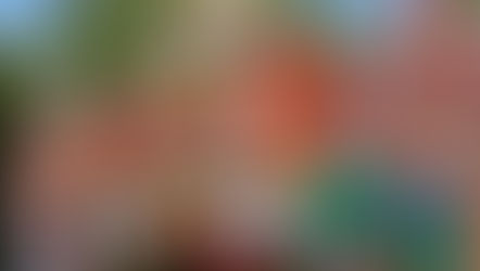 Lightning Lane Entrance and Stand-by Entrance at Toy Story Mania