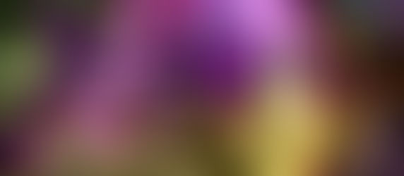 Breaking News: New Villains Show at Disney's Hollywood Studios