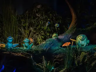 Tiana's Bayou Adventure News
