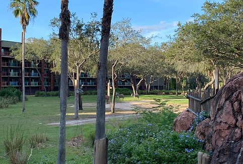 Disney Wildreness Lodge