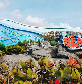 Living Seas with Nemo and Friends