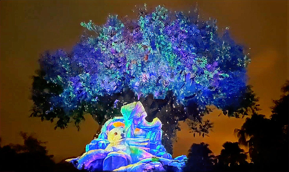 Tree of Life Awakenings – Holiday Edition, Disney Animal Kingdom 2025