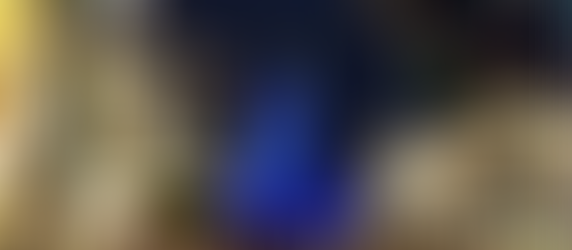 Magic Kingdom decorated for the Holidays Thanksgiving 2005