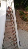 Pintura de escaleras