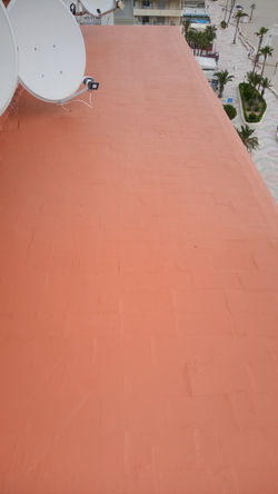 Pintura 29