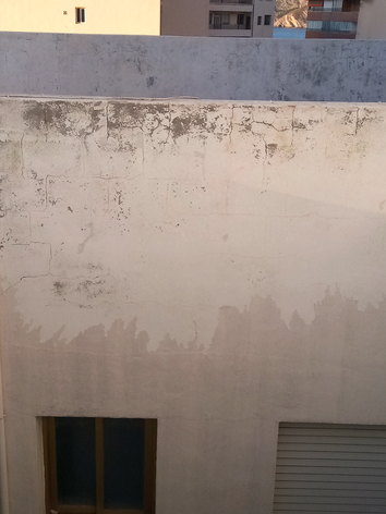 Pintura de casa_edited_edited.png
