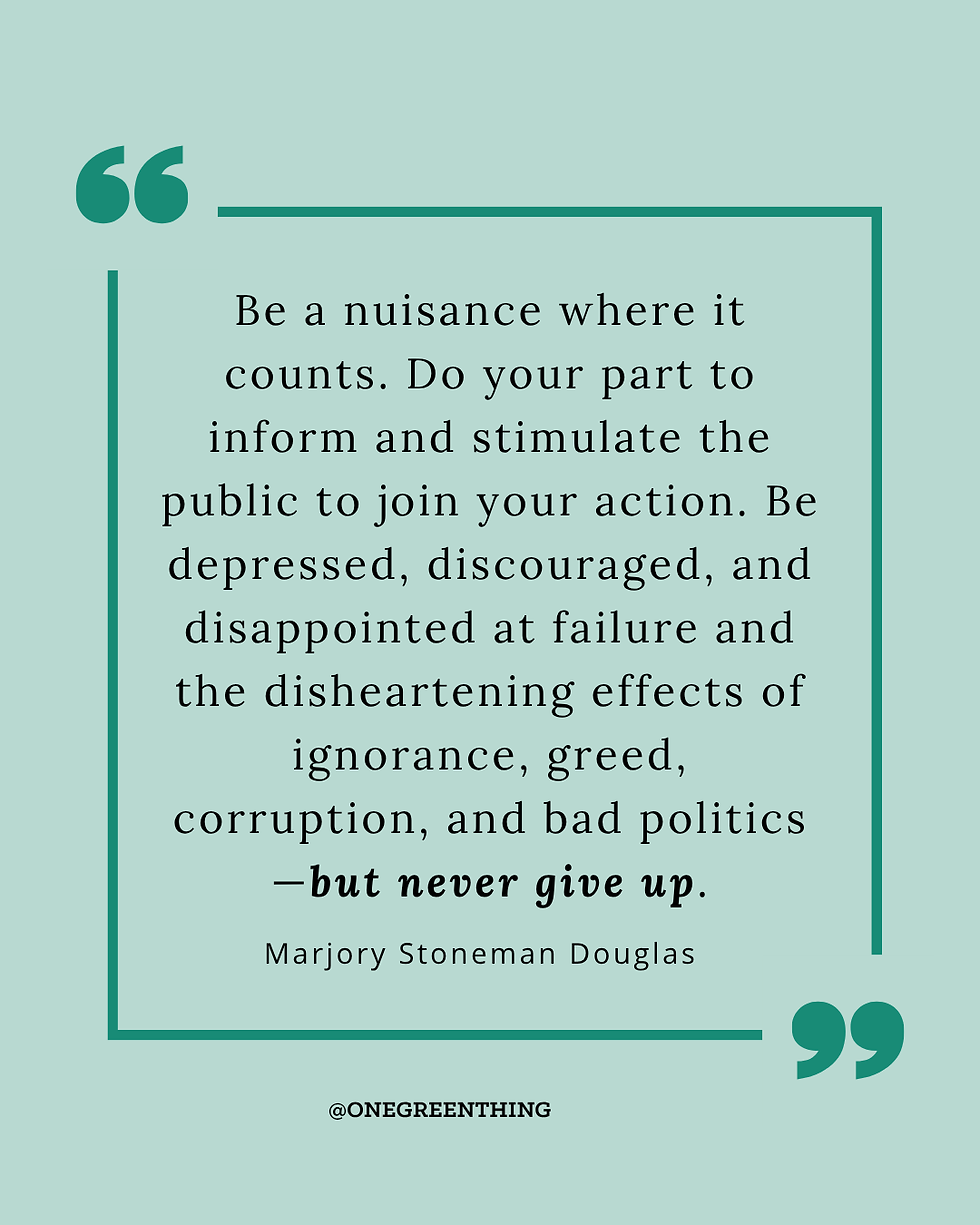 Green background, black lettering it a quote for Marjorie Stoneman Douglas about the importance of not giving up.