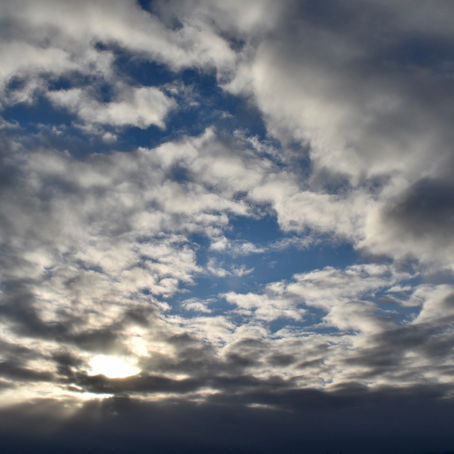 Find Your Green Time: Connecting to Nature During Quarantine