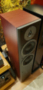 Thumbnail: DYNAUDIO DM 3/7