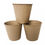 Miniatura: Macetas Biodegradables