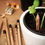 Miniatura: Lápices Biodegradables