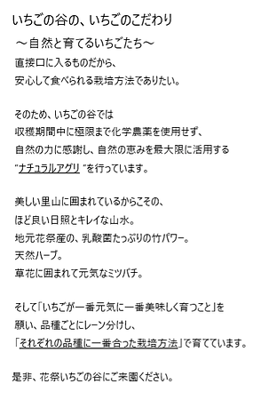 いちご狩り いちごのこだわり.png