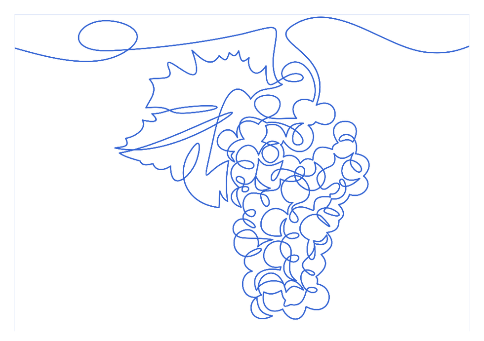grape vine illustration