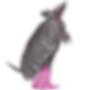 Copy of Dillo.png