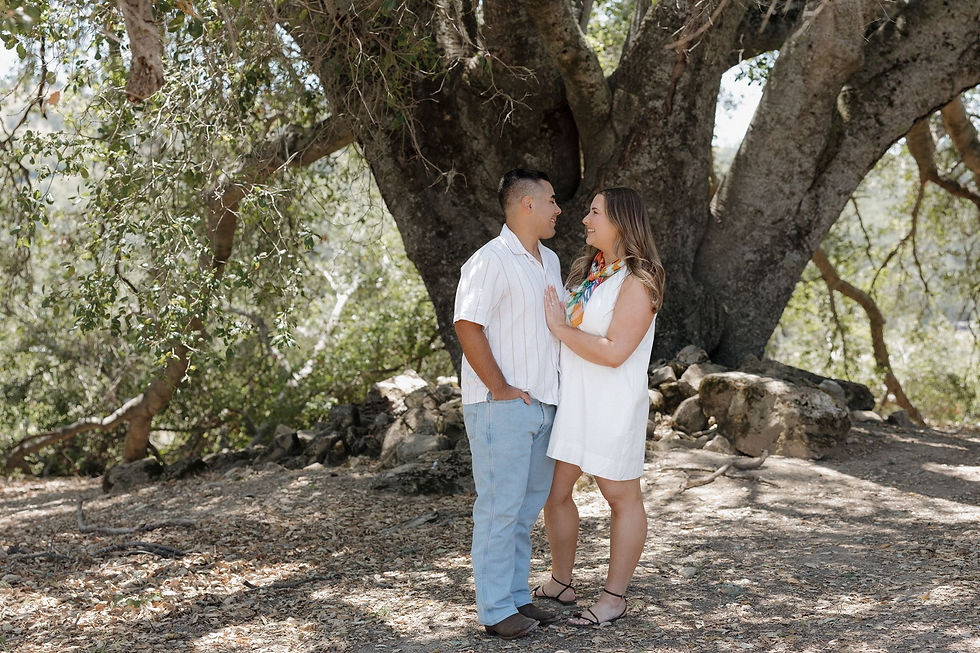 Newly engaged couple celebrating beneath the Ancestor Tree