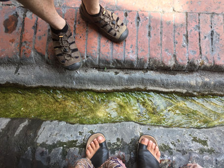 UND WAS HAT DAS MIT ZYKLUSBEOBACHTUNG ZU TUN?