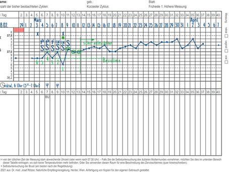 Zyklusbeispiel - schwanger am 8. Zyklustag