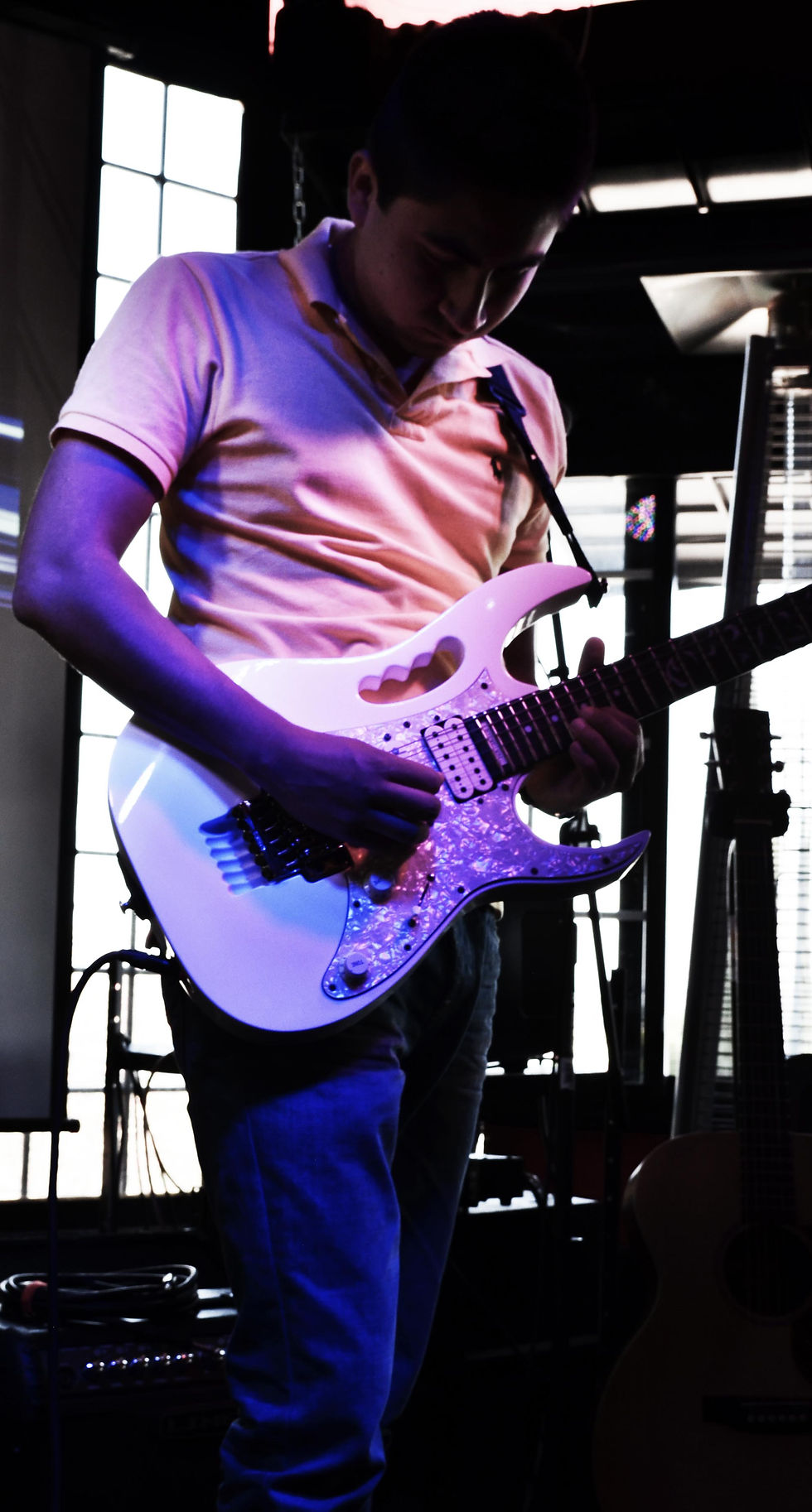 Guitarra Eléctrica
