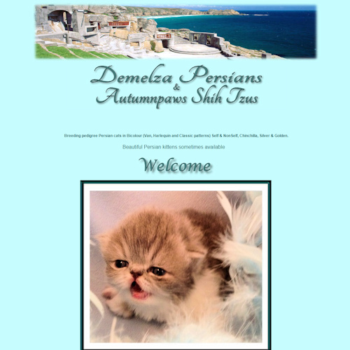 Demelza Persians