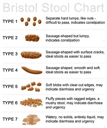 Bristol_stool_chart-3.webp