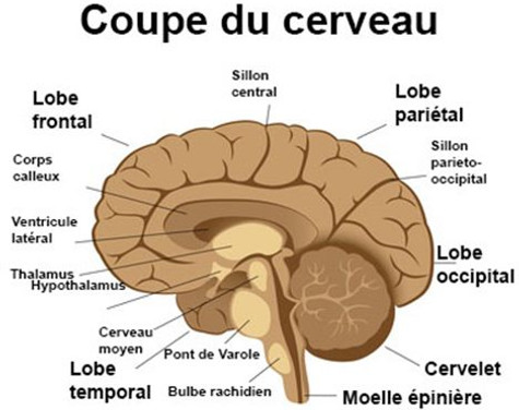 image_4076_400.jpg