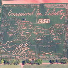 2011 Corn Maze