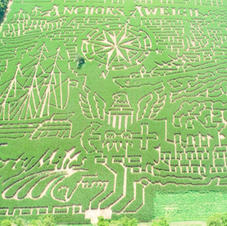 2020 Corn Maze