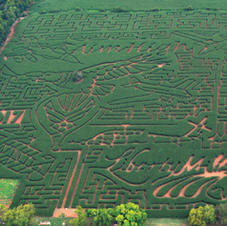 2017 Corn Maze