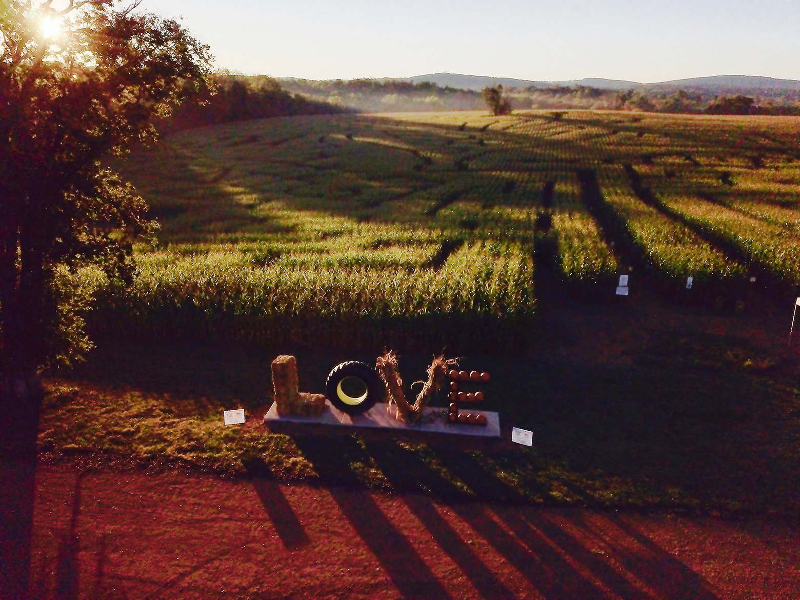 DJI_0006 3.jpeg